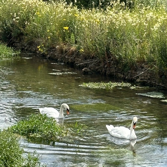 Meet your Posher, Christi - Picture 1 of 1